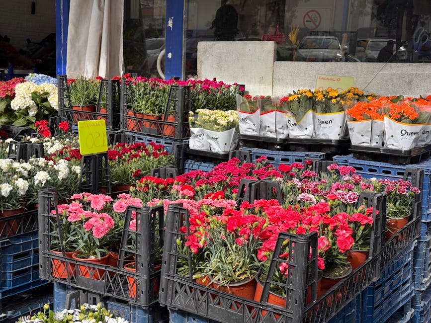 A variety of potted flowering plants displayed outdoors at Kentish Town Flowers, arranged in black plastic crates on blue pallets. The collection includes vibrant pink, red, white, orange, and yellow 
