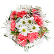 This jubilant bouquet, assembled by skilled Kentish Town florists, is a celebration of springtime optimism and local artistry. At its core, joyful white daisies with bright green centres bask amid an abundance of coral-pink carnations, their ruffled petals adding generous texture and a sense of lively harmony. Wisps of white baby's breath drift throughout the display, delicate as early morning clouds above Kentish Town's rooftops, while slender alstroemeria buds with subtle purple-pink streaks nestle quietly among the blooms, promising new life soon to emerge. Silvery eucalyptus leaves and lush dark greens frame the bouquet, grounding the overflowing colours with soothing foliage and a faint, invigorating scent. Photographed on a pristine white background, every petal and detail is set aglow, capturing the arrangement's freshness and buoyant spirit. Perfect for celebrations, thoughtful gifts, or marking life's milestones, this bouquet radiates warmth and connection-ready to bring delight to homes and businesses across the NW5 area.
